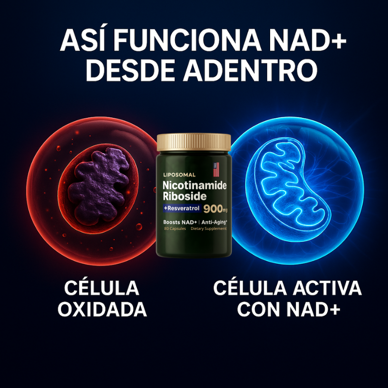 Liposomal NAD + Resveratrol: Efecto antienvejecimiento con Nicotinamida Formula Americana