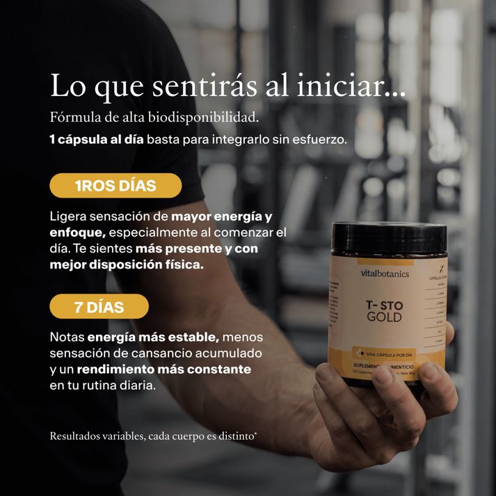 T-sto Gold Precursor de testosterona x60 cápsulas:  apoya el equilibrio hormonal y la vitalidad masculina